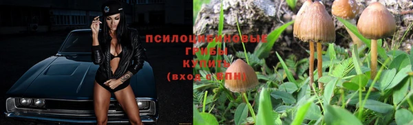 apvp Беломорск