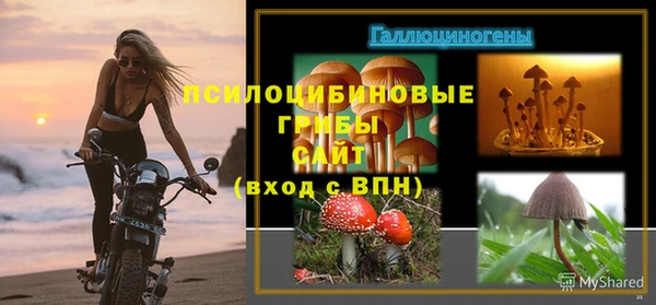 метадон Белокуриха