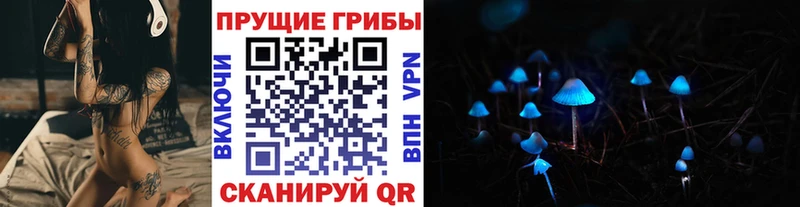 Псилоцибиновые грибы Psilocybe  Кирсанов 